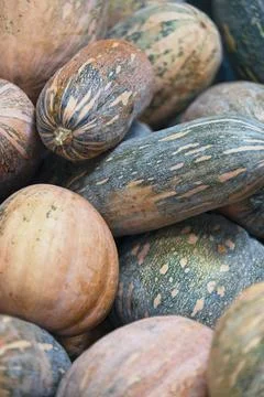 Stack of various Squashes on a market stall Stock Photos