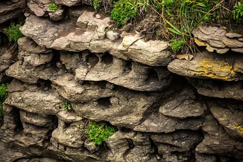 A stack of various types of rocks with lush grass growing out of them Stock Photos