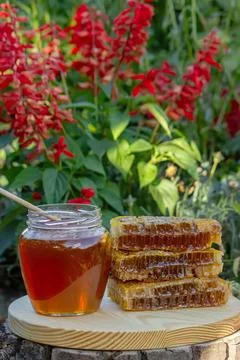 Stack of waffles with strawberry jam and fresh strawberries Stock Photos