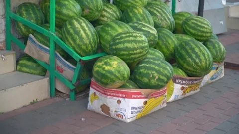 Stack of watermelon in grocery store. Industry of selling products Stock Footage 163412843
