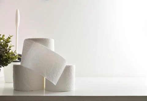 Stack of white toilet paper rolls, brush and plant isolated Stock Photos