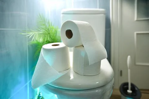 Stack of white toilet paper rolls, brush and plant isolated Stock Photos