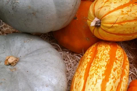 Stack of winter squashes on a market stall Stock Photos