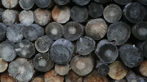A Stack Of Wood. Firewood Background Texture Stock Footage 91709711