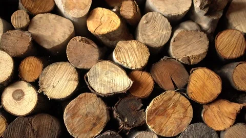 Stack of wood 库存影片 175199541