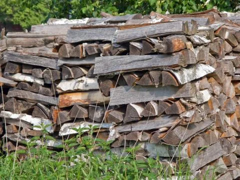 Stack of wood log Stock Photos