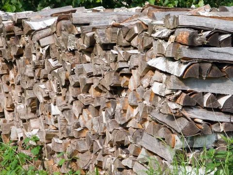 Stack of wood log Stock Photos