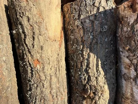 Stack of Wood Logs with Bark Texture Firewood Pile Stock-Fotos