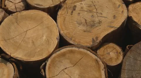 Stack of wood logs Stock Footage