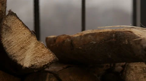 Stack of wood logs Stock Footage 47347878