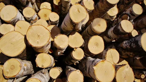 Stack of wood logs Stock-Footage 62806651