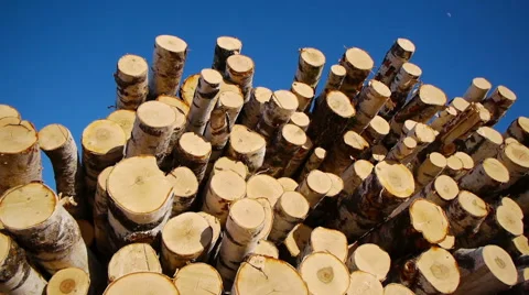 Stack of wood logs Stock-Footage 62835071