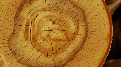 Stack of wood logs Stock-Footage 68883818