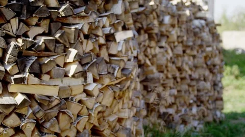 Stack of wood logs Stock Footage 78338340