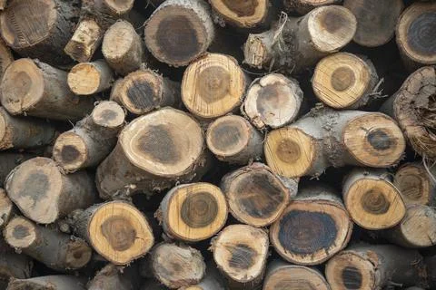 Stack of wood logs making natural background wallpaper Stock Photos