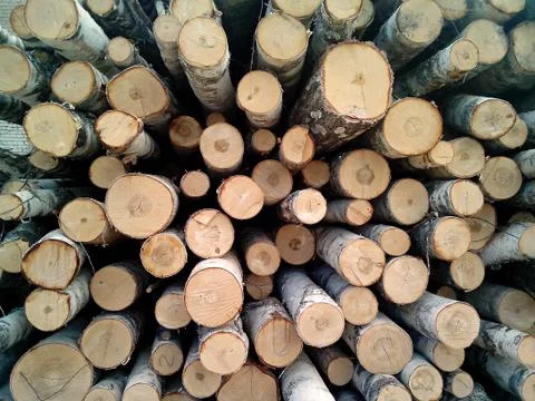 Stack of wood logs Stock Photos