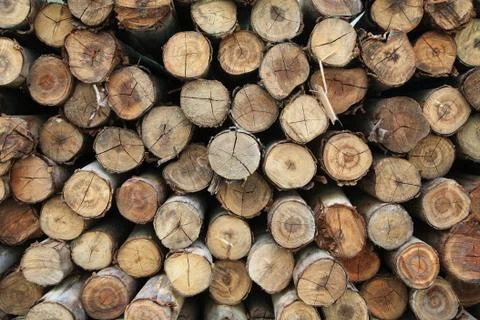 Stack of wood logs Stock Photos