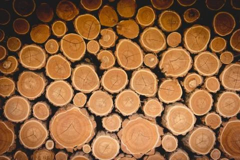 Stack of wood logs Stock Photos