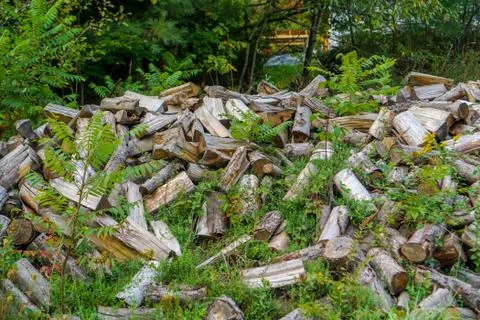 Stack of Wood Logs Foto stock