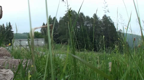 Stack of Wood next to the Road. Camera Slider. Video stock 39543871