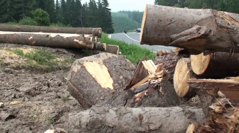 Stack of Wood next to the Road. Camera Slider. Stock Footage 39544032
