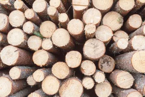 Stack of wood Stock Photos