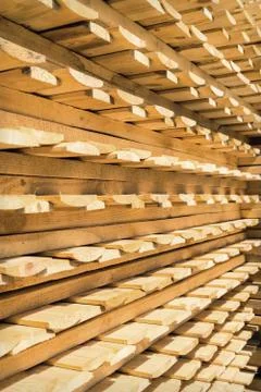 Stack wood Foto stock