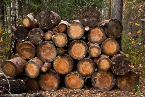 Stack of wood Stock Photos