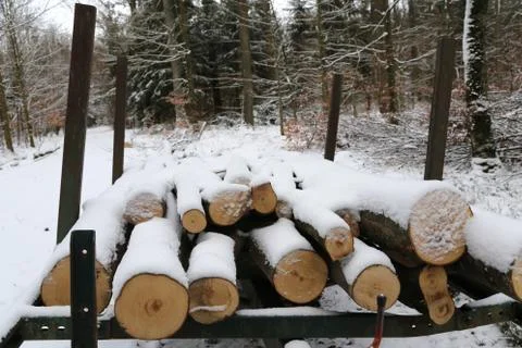 Stack of wood Stock Photos