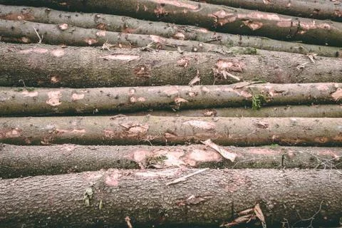 Stack of wood Stock Photos