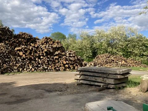 Stack of wood on a sawmill 库存照片