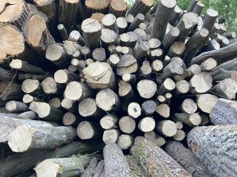 Stack of wood on a sawmill 库存照片