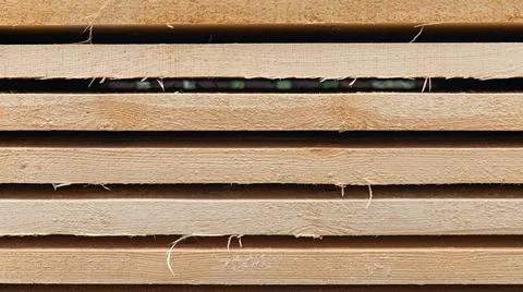 Stack of wooden boards. The boards appear rough-cut with visible knots and un Stock Photos