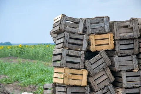 Stack of Wooden Crates in Field Stock Photos