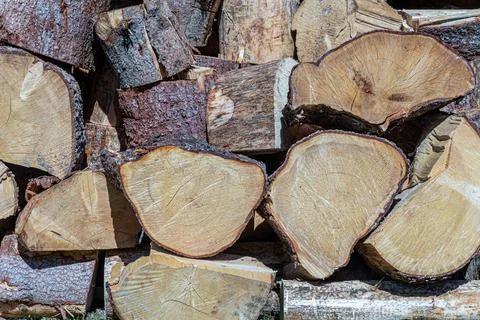 Stack Wooden Logs Stock Photos