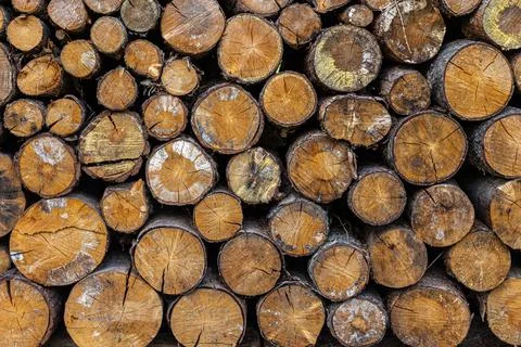 Stack Wooden Logs Stock Photos