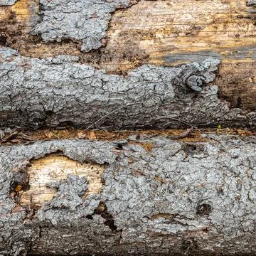 Stack Wooden Logs Stock Photos