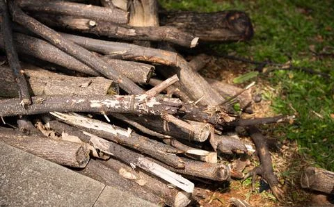 Stack wooden logs Stock Photos