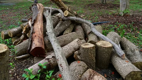 Stack of woodpile and bonfire in the countryside. Stock-Footage 155669351