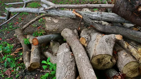 Stack of a woodpile in the countryside. Stock-Footage 155665106