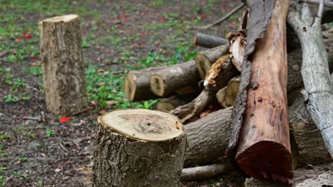 Stack of a woodpile in the countryside. Stock-Footage 155722554