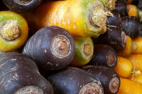 Stack of yellow and black carrots Foto stock