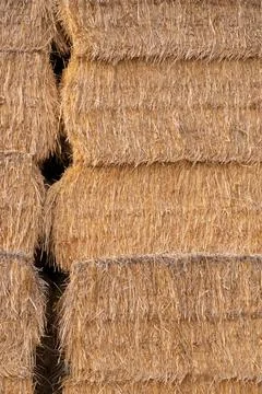 Stack of yellow hay straw bales background alfalfa verticle 库存照片