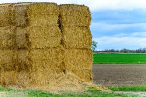 Stack of yellow straw in a green field in Tennessee, USA Stock Photos