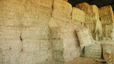 Stacked bales in the barn overall plan. Stock Footage 75995883