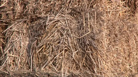 Stacked bales of hay close up Vidéo 37055720