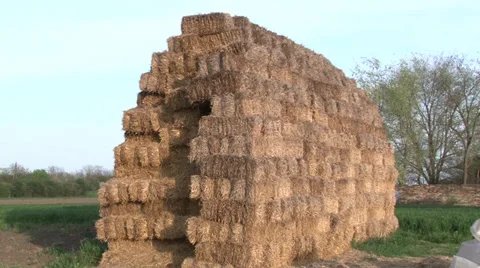 Stacked bales of hay Vidéo 37045936