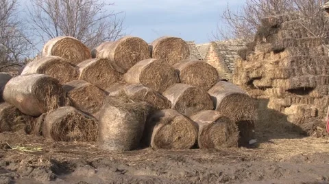 Stacked bales of hay Stock Footage 47873203