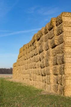 Stacked bales of straw Stock-Fotos