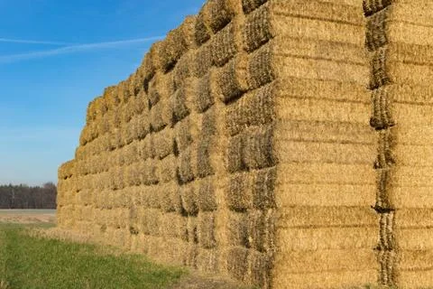 Stacked bales of straw Stock Photos